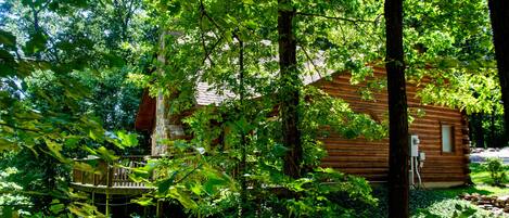 A wooden cabin surrounded by dense foliage.