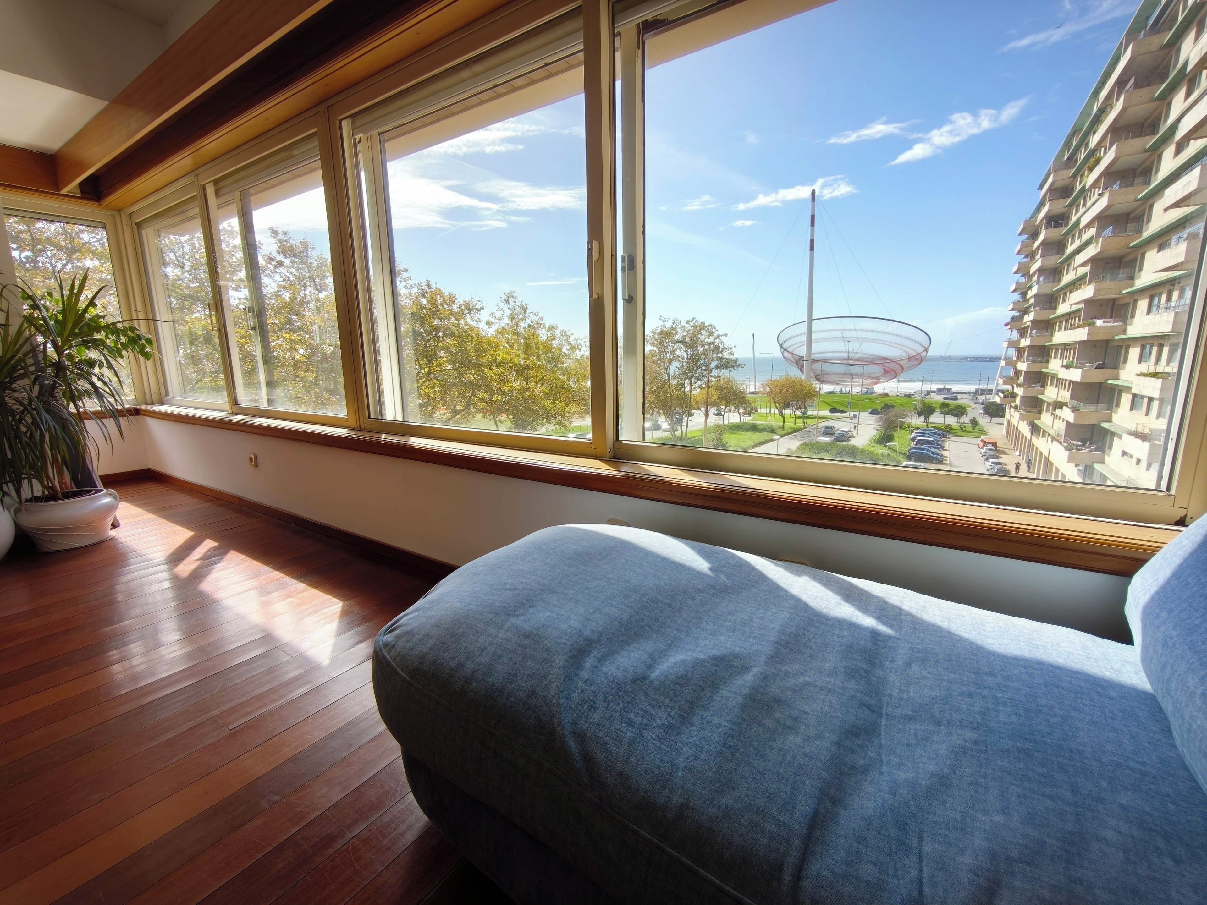 A room with a large window, wooden flooring, a potted plant, and a view of a building and a street.