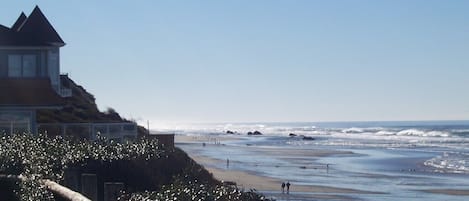 Vue sur la plage/l’océan