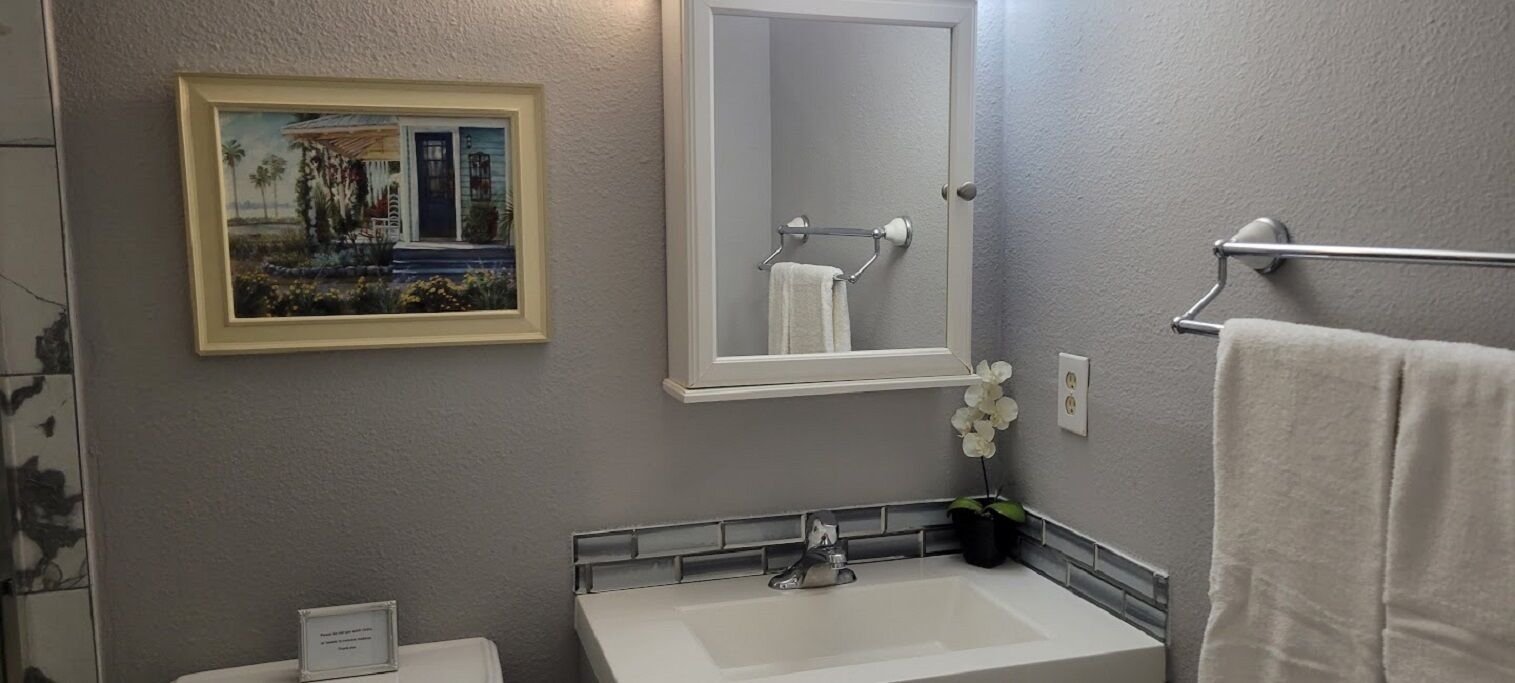 A bathroom with a white sink, a towel rack, a framed picture on the wall, and a potted orchid.