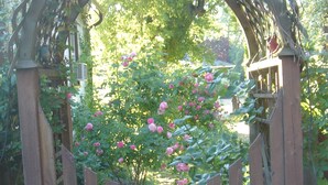 A wooden gate with a wooden archway, surrounded by greenery and flowering plants. -   Charming Self-Contained Guest Cottage in Old Town Niagara-on-the-lake. (Niagara on the Lake)