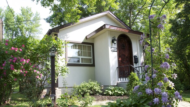 A small, single-story house with a white exterior and a dark brown door, surrounded by lush greenery and flowering plants. -   Charming Self-Contained Guest Cottage in Old Town Niagara-on-the-lake. (Niagara on the Lake)