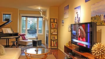 TV, fireplace, video games, DVD player