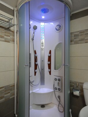 シャワー、ヘアドライヤー、タオル、トイレットペーパー