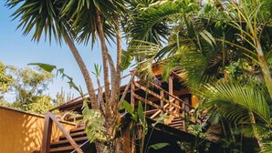 A wooden staircase leading up to a building surrounded by lush tropical vegetation.