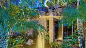 A waterfall in a lush garden with a stone wall and a glass door leading to a room. - North Coast A101 Corner condo West & South Facing Ocean views from Two Balconies (Oceanside)