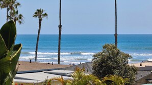 A beach view with palm trees, a sandy beach, and a clear blue sky. - North Coast A101 Corner condo West & South Facing Ocean views from Two Balconies (Oceanside)