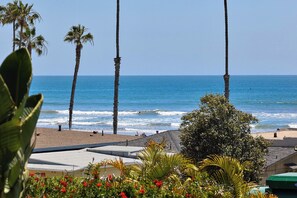 A beach view with palm trees, a sandy beach, and a clear blue sky. - North Coast A101 Corner condo West & South Facing Ocean views from Two Balconies (Oceanside)