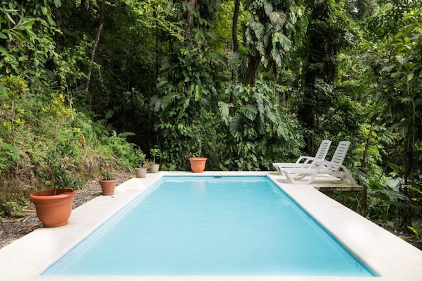 A rectangular pool with a white edge, surrounded by lush greenery and two white lounge chairs.