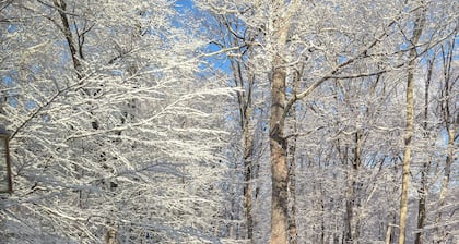 Killington, Vermont Ski House w/ Hot Tub and Sauna
