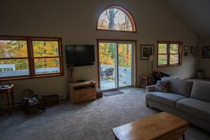 Televisión, reproductor de DVD y libros