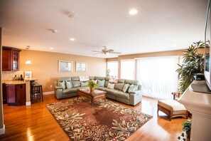 Smart TV, fireplace, DVD player, books