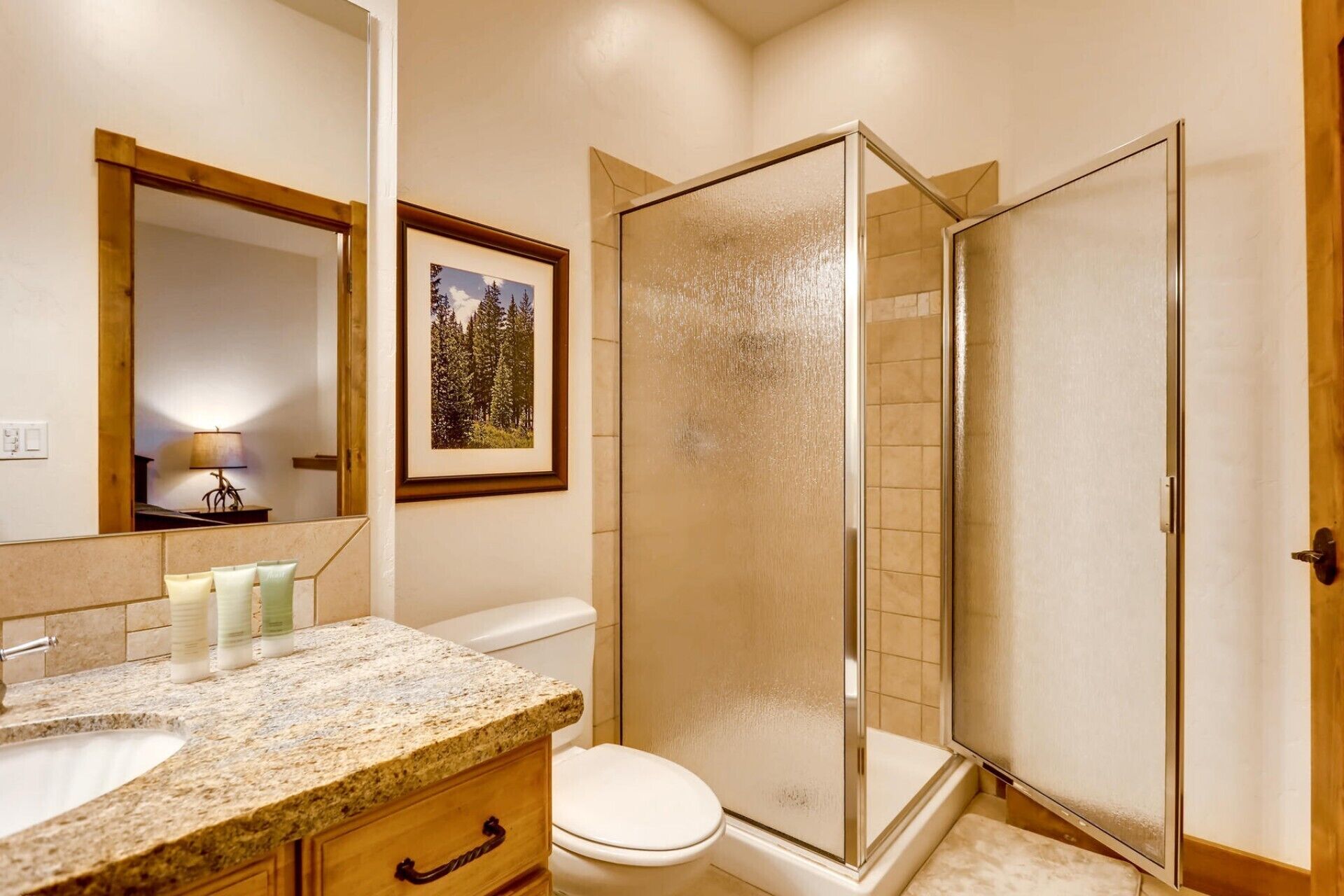 A bathroom with a granite countertop, a toilet, a glass shower enclosure, and a framed picture on the wall.