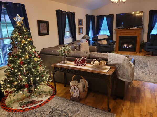 Smart TV, chimenea, reproductor de DVD y libros