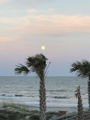 Una spiaggia nelle vicinanze