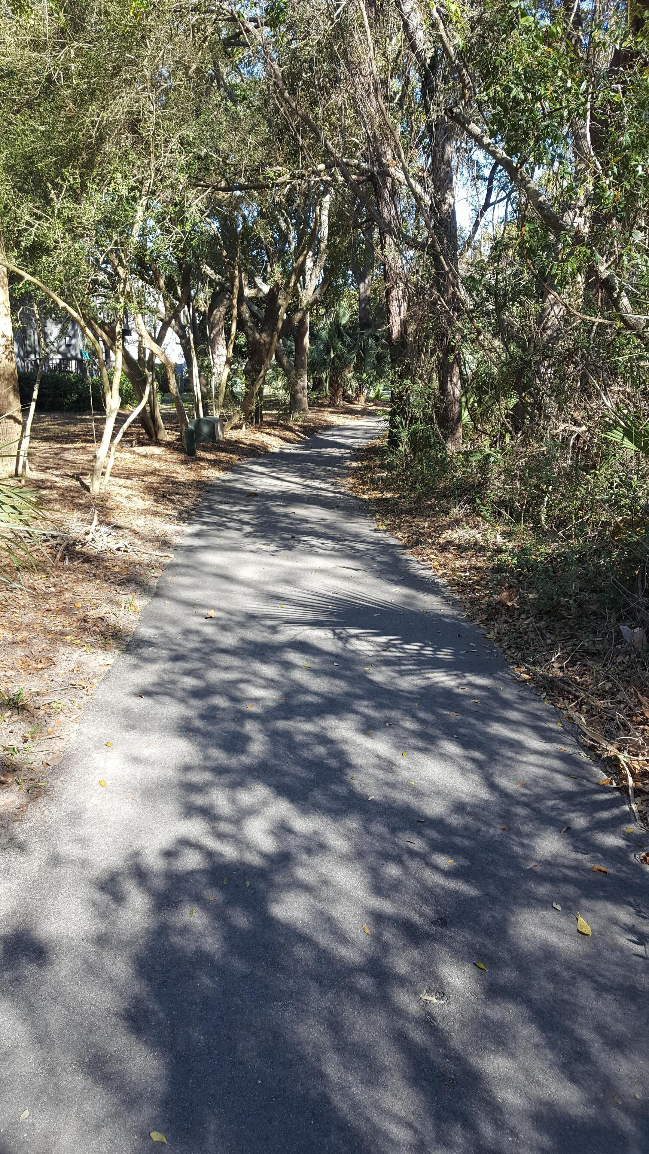 A paved pathway surrounded by trees and vegetation.