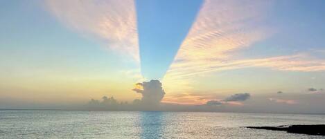 En strand med klart skinnende himmel, roligt hav og et fjerntliggende landskab.