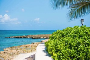 Ein Küstenweg mit Blick auf das Meer, einem Felsen und einer Palme.