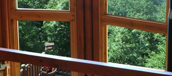 Mountain top overlooking lake, Hot Tub, Pickleball, Yukon Fire Pit, 5 STAR, PETS