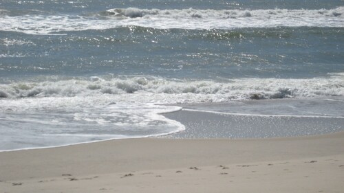 Your wave is waiting, come on down! Get away from it all and relax on the beach!