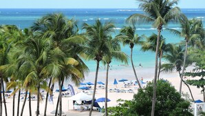 A beach with palm trees, sun loungers, and umbrellas. - New Oceanfront Dream apartment on the beach of Isla Verde! (Carolina)