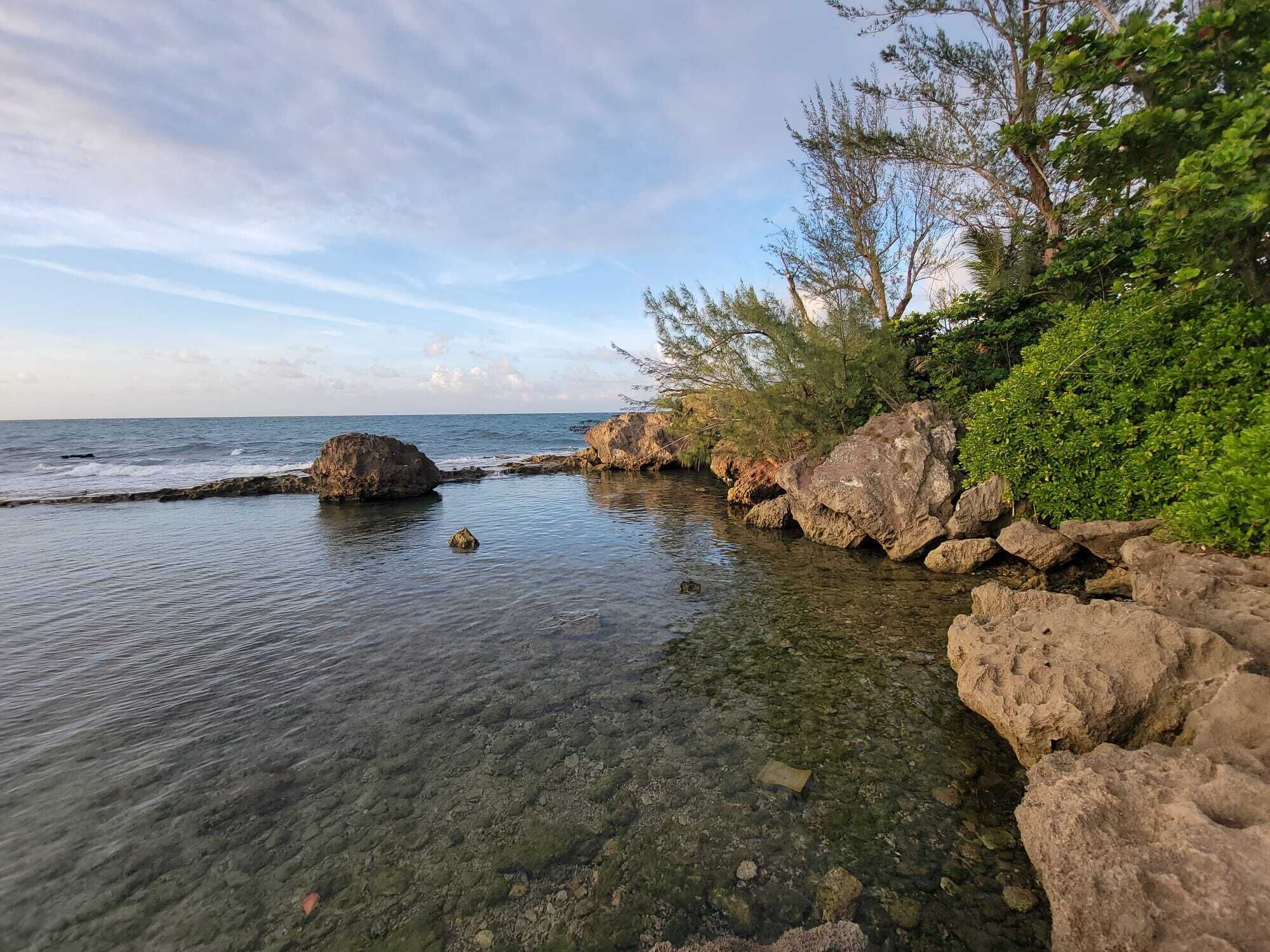 Un paisaje costero con aguas poco profundas y cristalinas, rocas grandes y abundante vegetación a lo largo de la orilla.