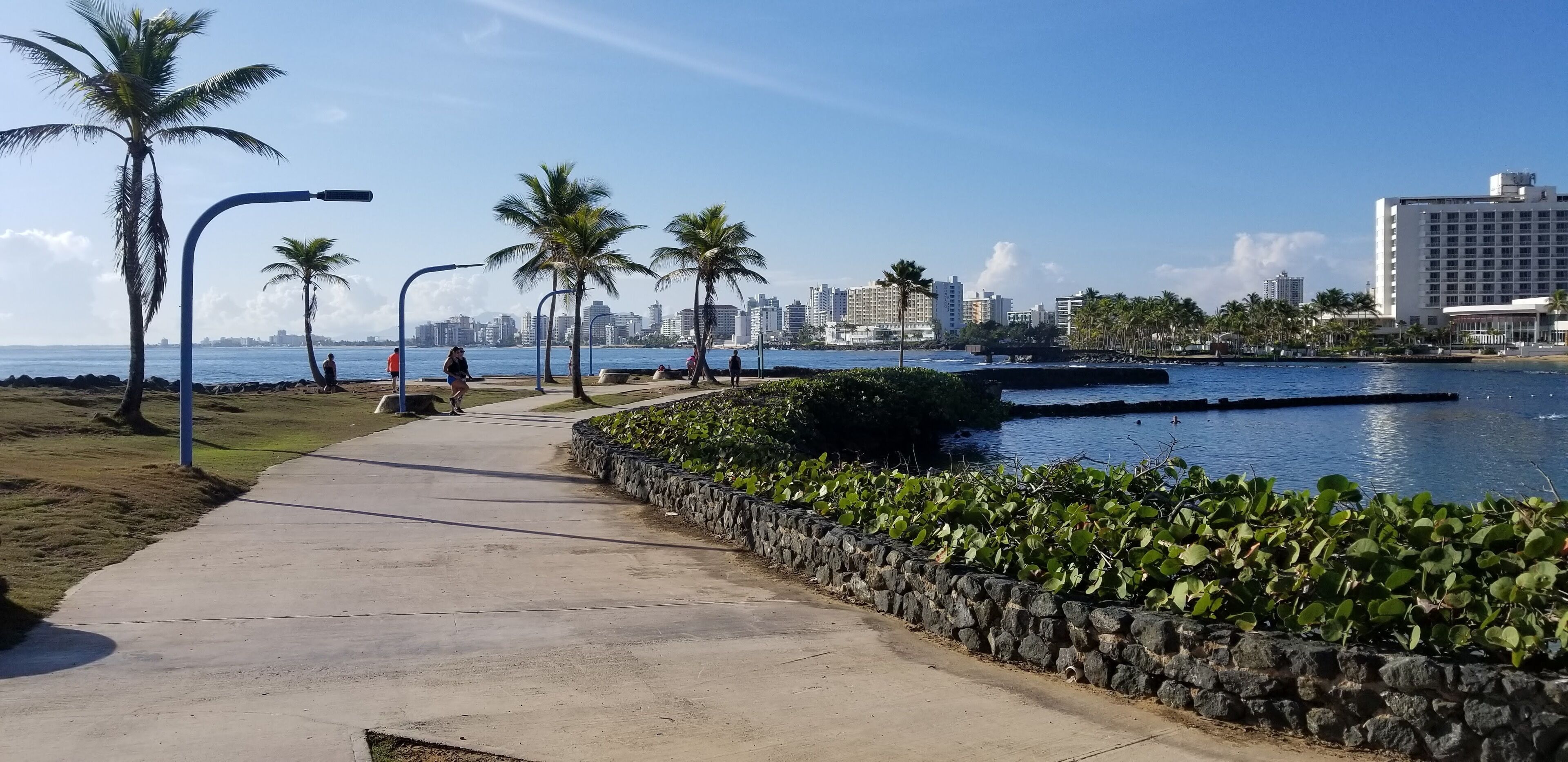 A coastal walkway with palm trees, a stone wall, and a view of the ocean and city skyline.