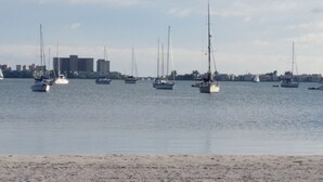 A marina with multiple sailboats docked.