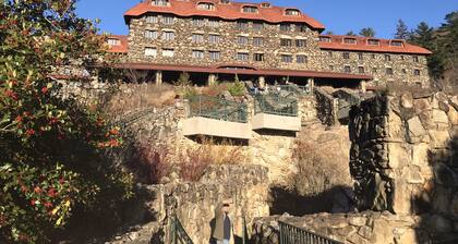 Sweet Cabin in the Woods -10 min to Ashvl., Quiet, BEES , Garden & DECK. Dogs Ok