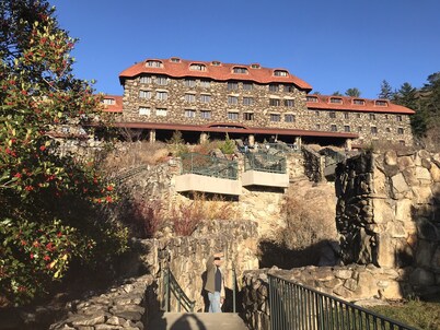 Sweet Cabin in the Woods -10 min to Ashvl., Quiet, BEES , Garden & DECK. Dogs Ok