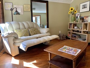Smart TV, chimenea y libros