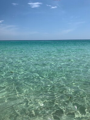 On peut clairement voir une mer turquoise, avec une végétation sous-marine visible, et un ciel dégagé.