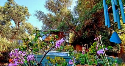 Craftsman Gem Sparkling Between Mountain & Ocean