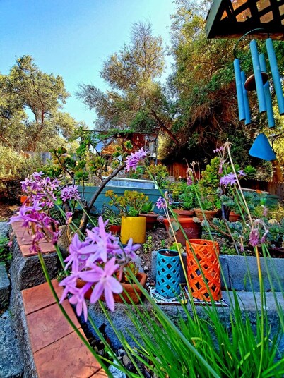 Craftsman Gem Sparkling Between Mountain & Ocean