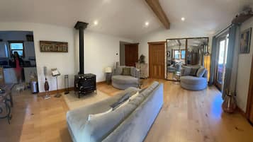 TV connectée, cheminée, lecteur de DVD, livres