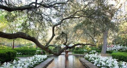 Private Charming Small Apartment