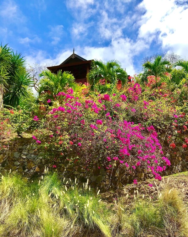 A traditional Japanese building with a tiled roof, surrounded by lush greenery and vibrant pink bougainvillea flowers.