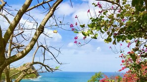 A pathway leading to a beach with a view of the ocean, surrounded by lush greenery and flowering plants. - Ti Zan: Views to Die For. Perfect for two (Gros Islet)