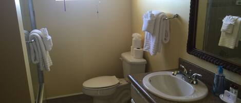 A bathroom with a toilet, sink, and a shower area.