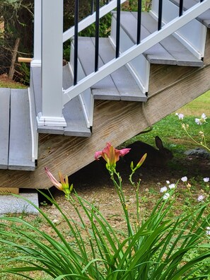A wooden staircase with a white railing leading to a porch area.