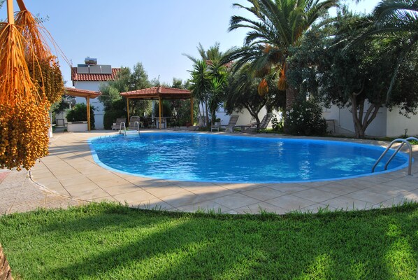 A swimming pool with a tiled deck, surrounded by palm trees and a covered seating area.