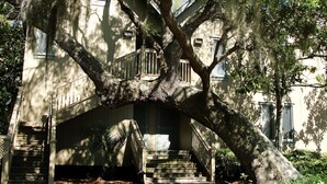 A large house with a prominent tree overhanging the front porch.