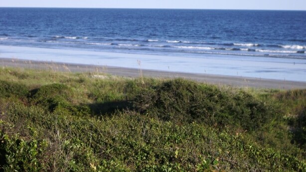 A beach with ocean waves and grassy vegetation in the foreground.