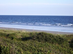 Een strand met oceaan golven en begroeiing op de voorgrond.