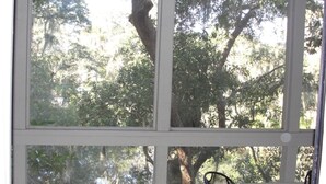 A room with large windows offering a view of trees. There are two black metal chairs.