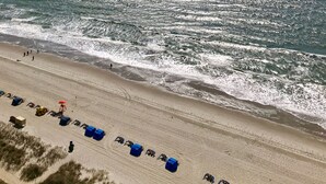 A beach with a row of blue beach umbrellas and a lifeguard tower. - 💎ISLAND TIME Dolphin Shack; Gorgeous Direct Oceanfront Balcony King Luxury Bed (Myrtle Beach)