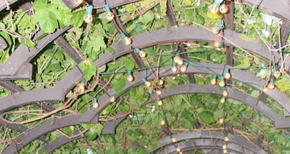 Sunny's Garden 4 HomeStay