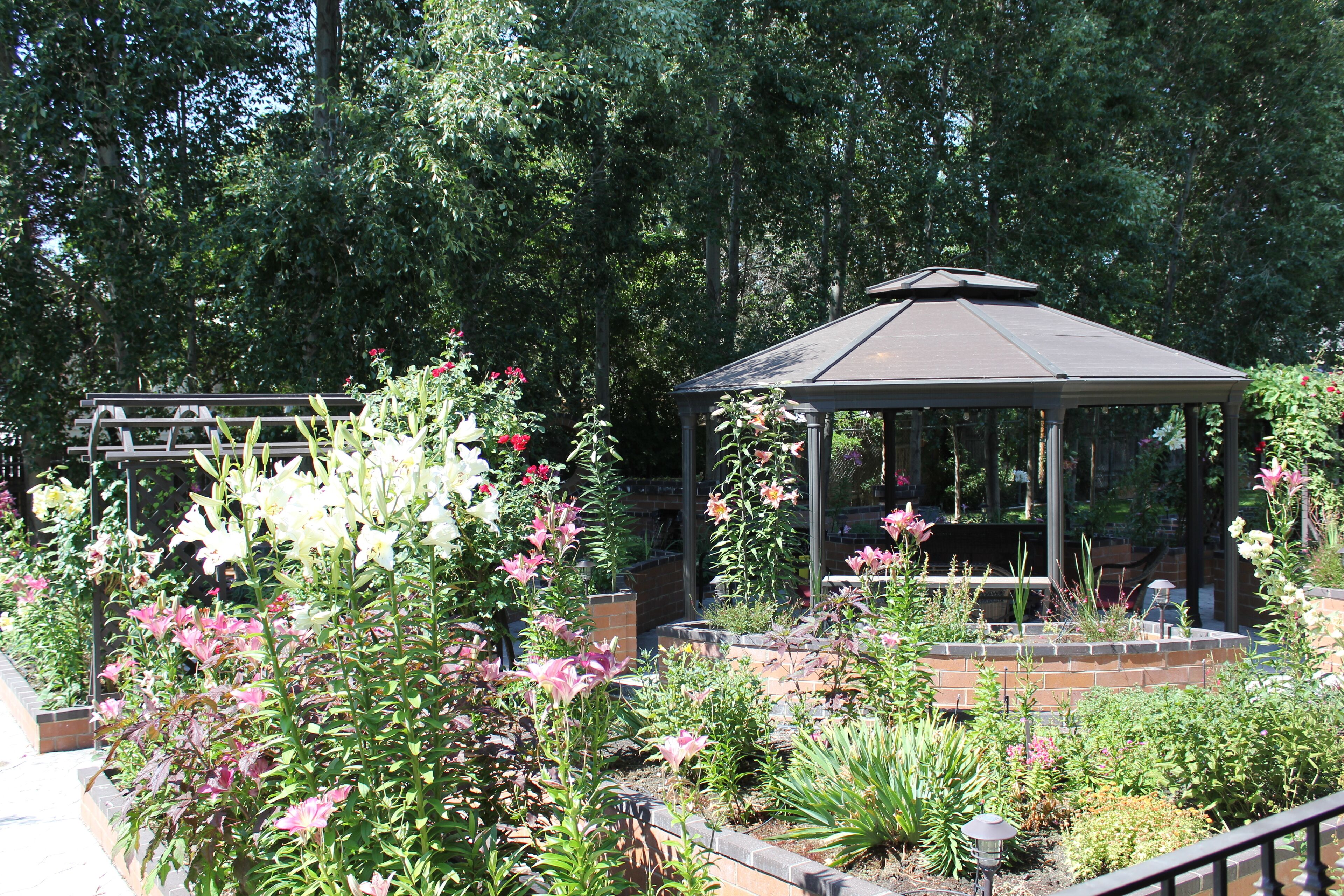 Ein Garten mit verschiedenen Pflanzen und Blumen, umgeben von einer Laube.