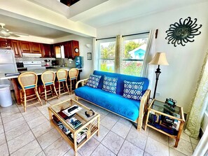 Televisión, reproductor de DVD y libros 