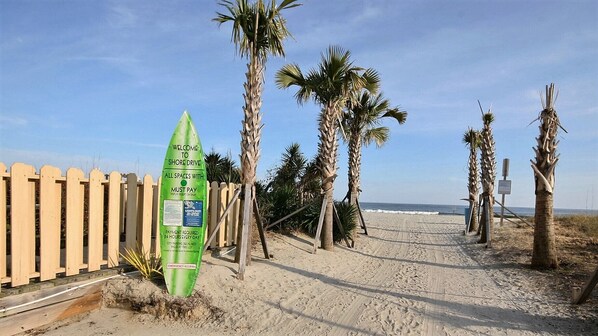 بالقرب من الشاطئ، كراسي للتشمس